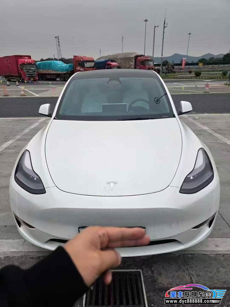 24年特斯拉Model Y轿车抵押车出售