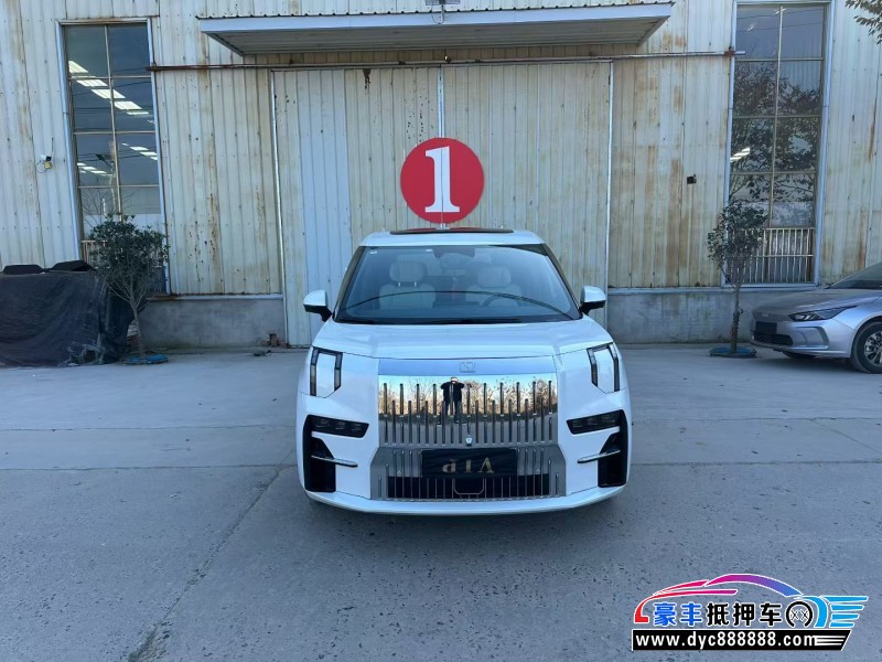 23年极氪009轿车抵押车出售