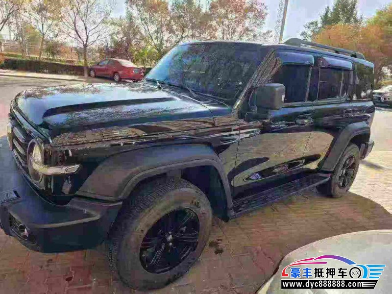 24年WEY坦克300轿车抵押车出售