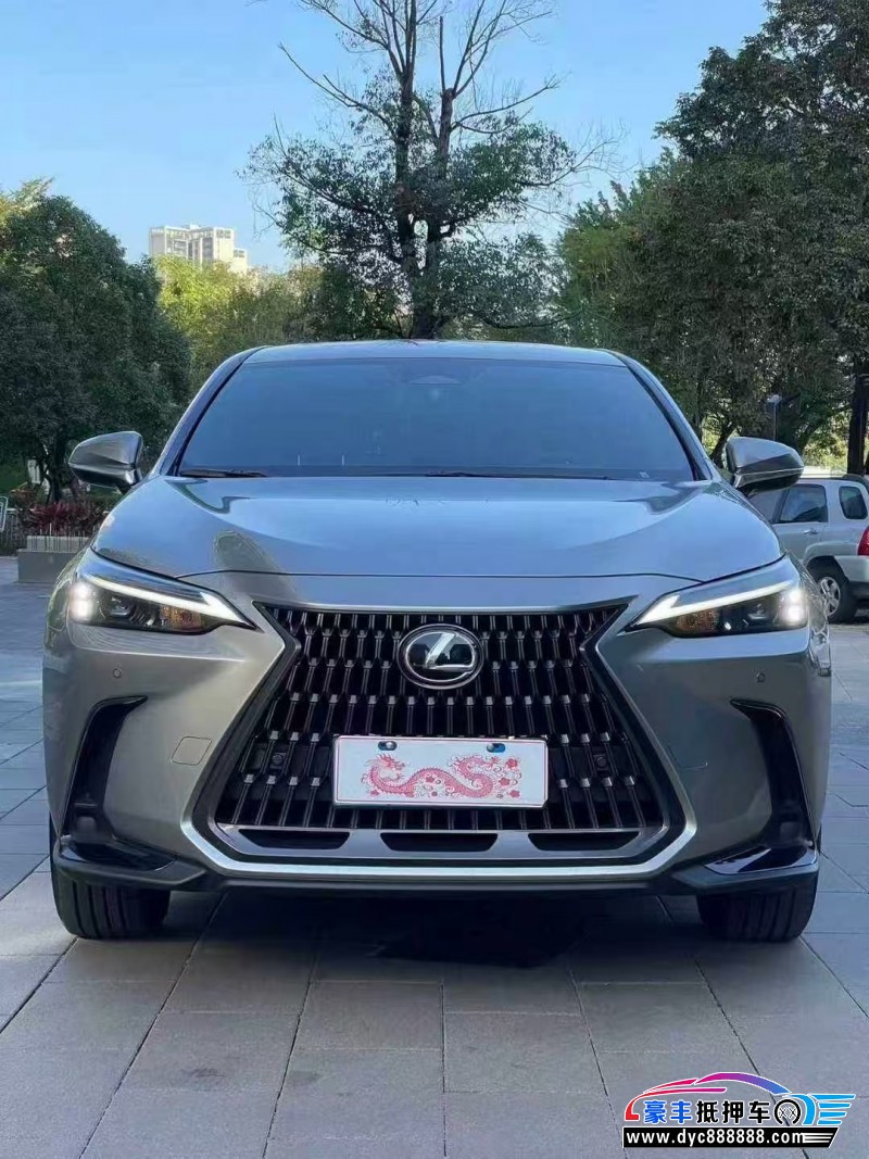 24年雷克萨斯NX轿车抵押车出售