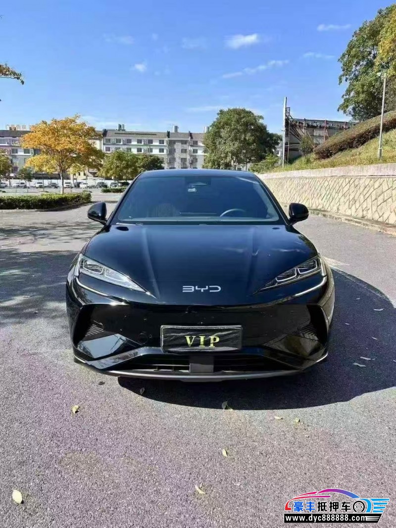 24年比亚迪海狮轿车抵押车出售