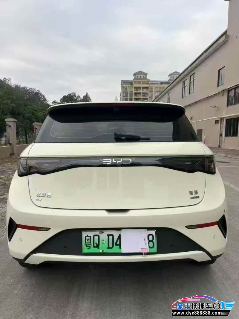 25年比亚迪海豚轿车抵押车出售