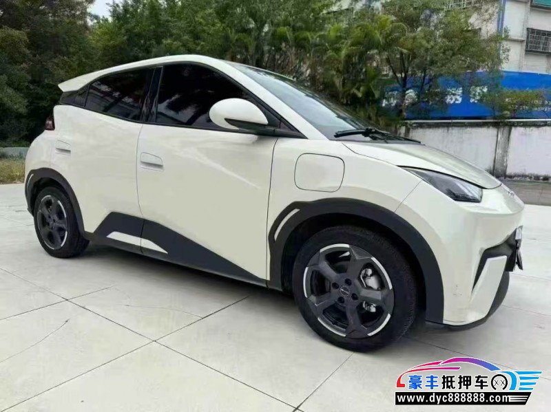 23年比亚迪海鸥轿车抵押车出售