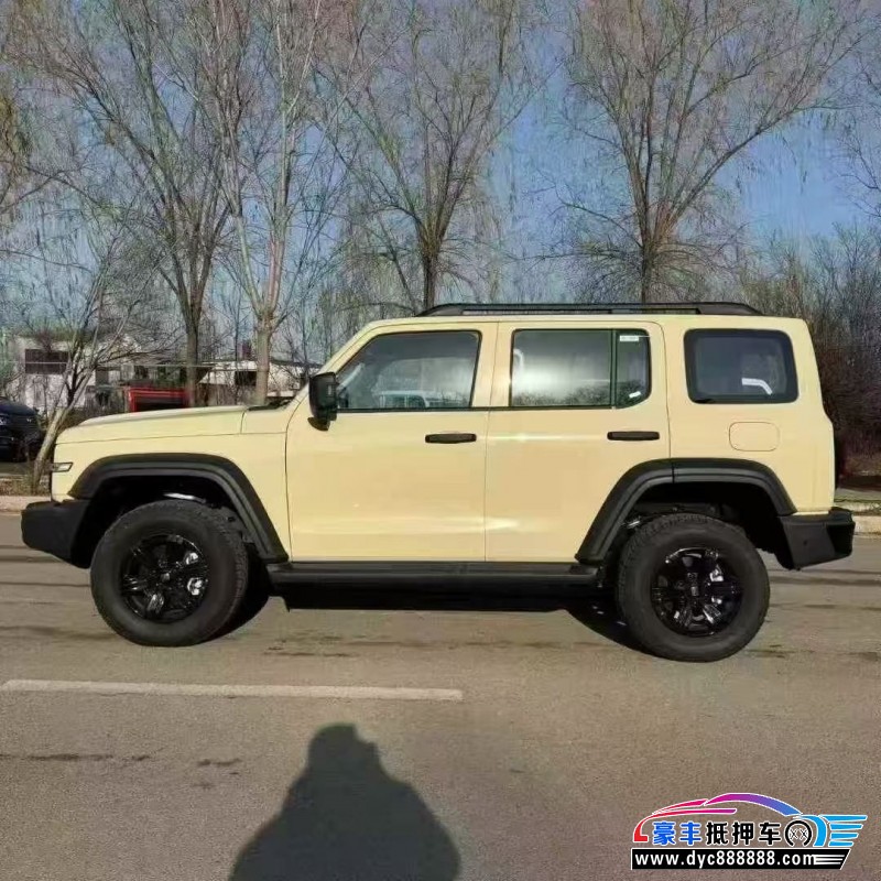 25年WEY坦克300轿车抵押车出售