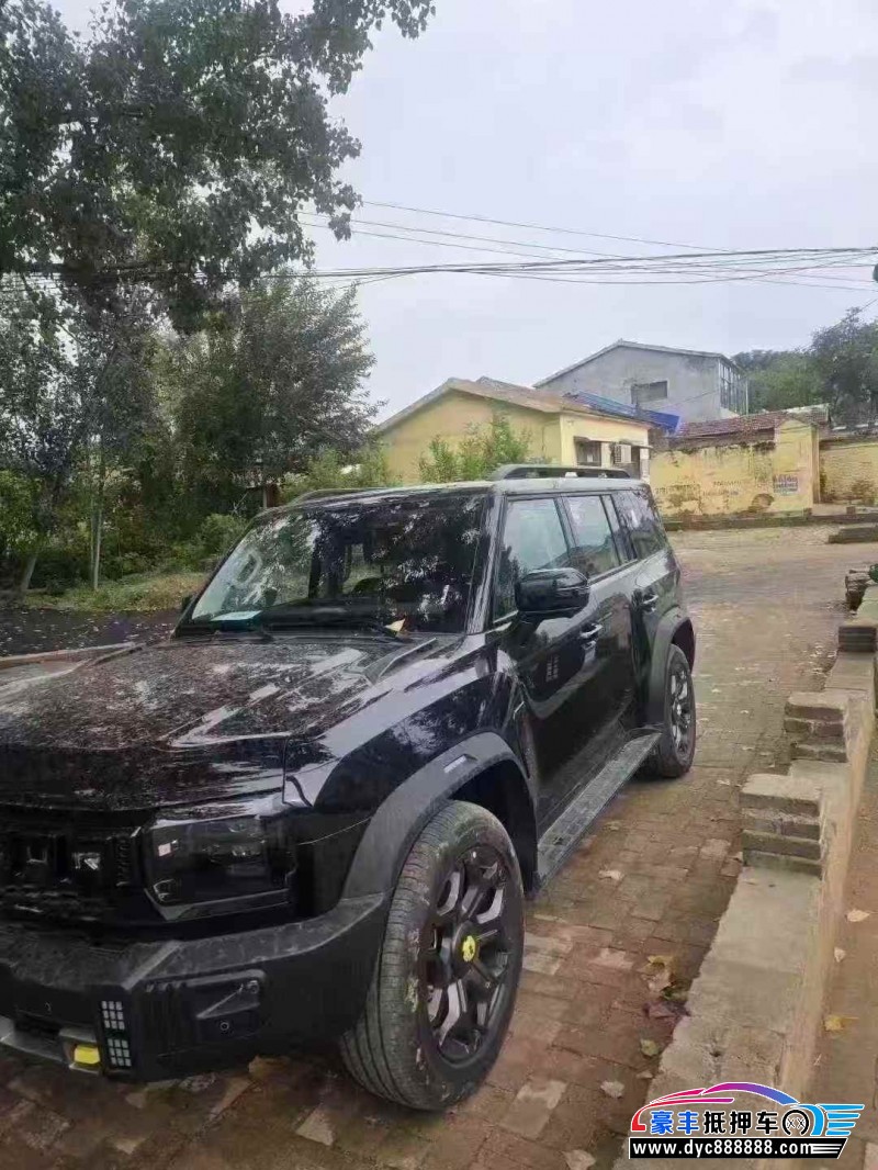 25年捷途山海T2轿车抵押车出售