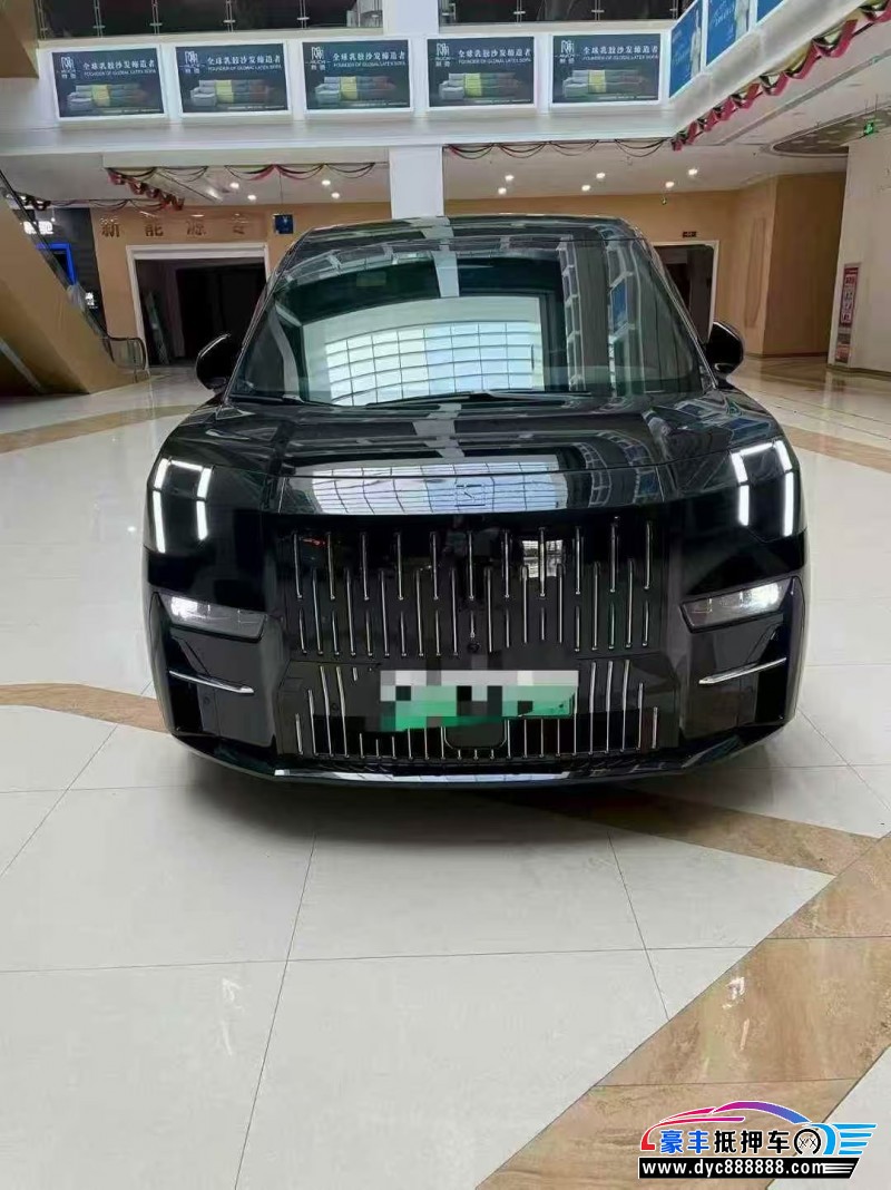 24年极氪009轿车抵押车出售