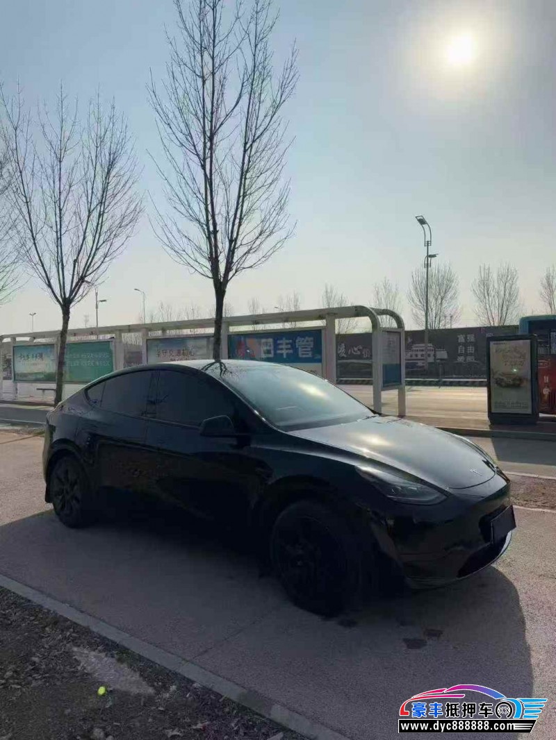 24年特斯拉Model Y轿车抵押车出售