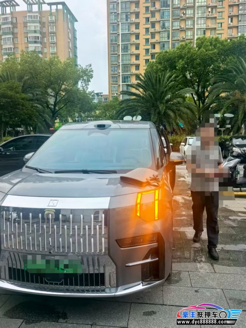 抵押车出售24年极氪009轿车