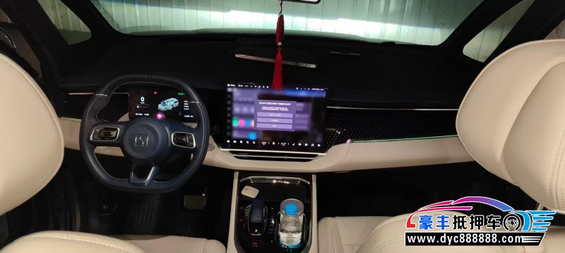 24年极氪009轿车抵押车出售