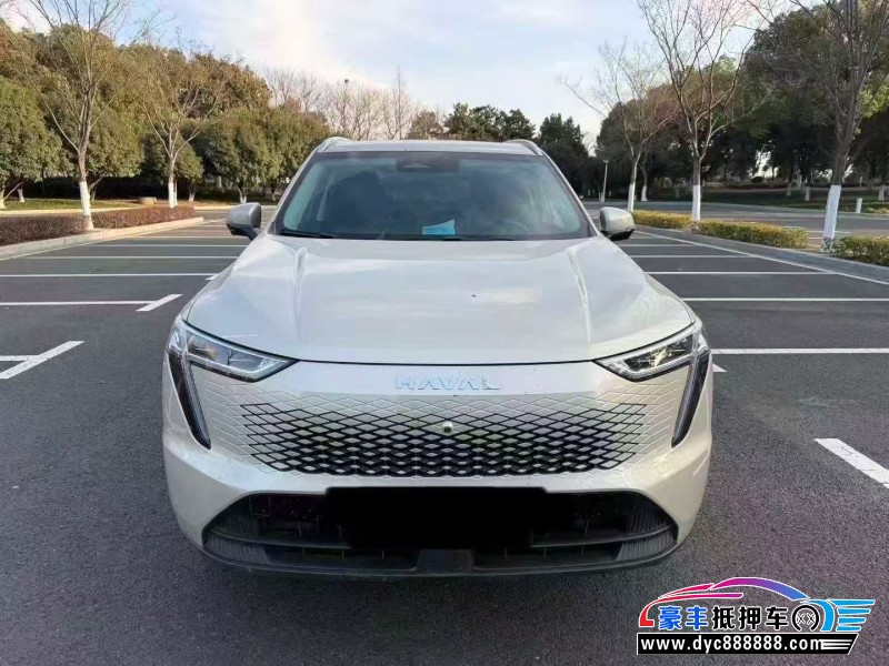 24年长城哈佛枭龙轿车抵押车出售