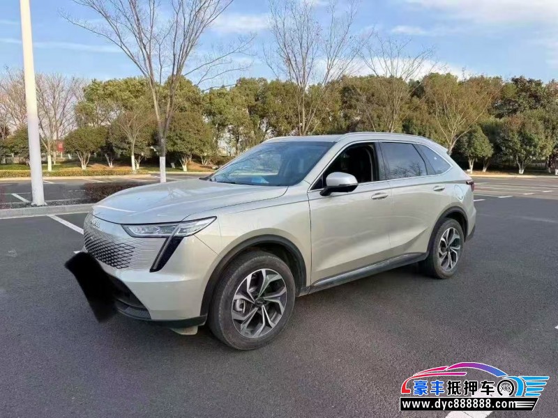 24年长城哈佛枭龙轿车抵押车出售