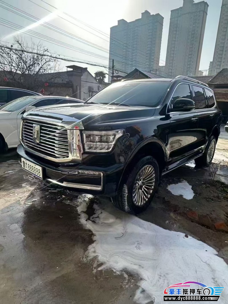 24年WEY坦克500轿车抵押车出售