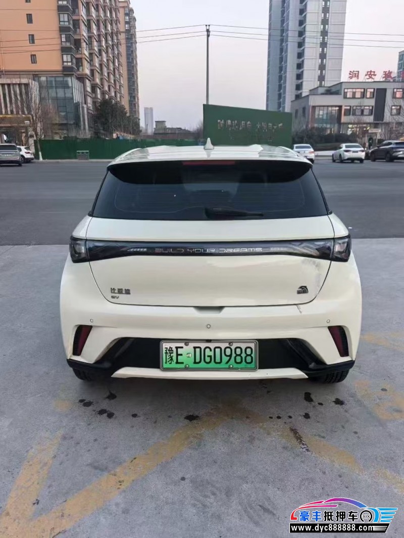 24年比亚迪海豚轿车抵押车出售