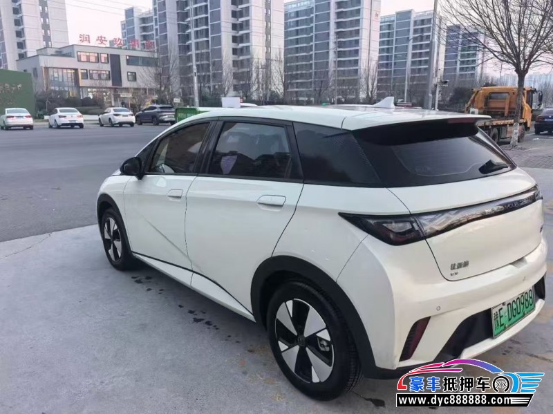 24年比亚迪海豚轿车抵押车出售