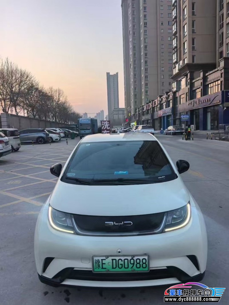 24年比亚迪海豚轿车抵押车出售