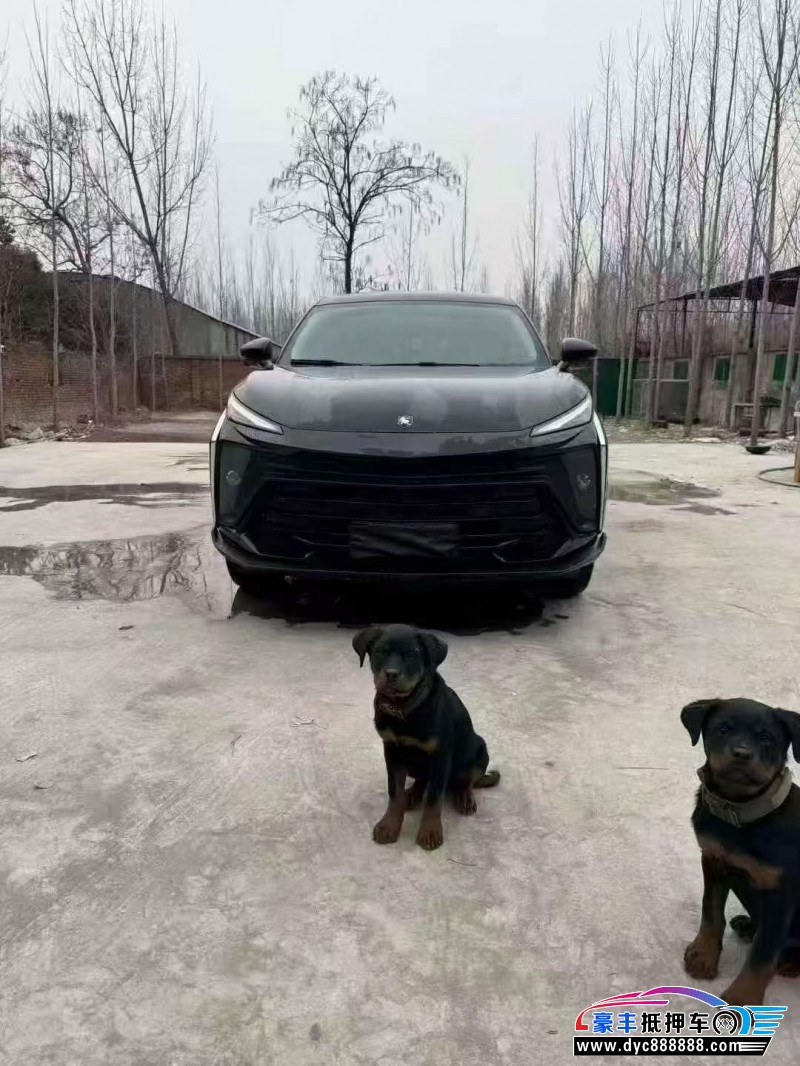 24年东风风行T5轿车抵押车出售