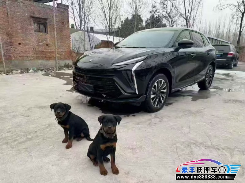 24年东风风行T5轿车抵押车出售