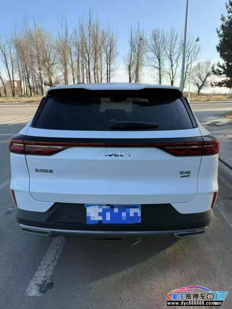 25年东风风神皓极轿车抵押车出售