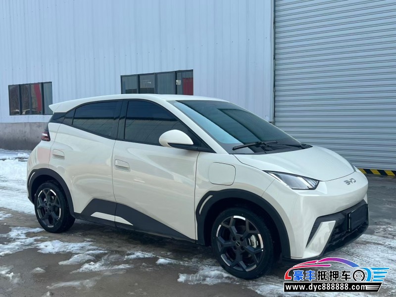 25年比亚迪海鸥轿车抵押车出售