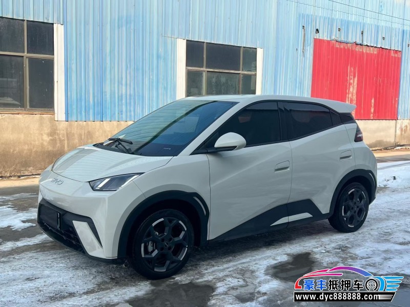 25年比亚迪海鸥轿车抵押车出售