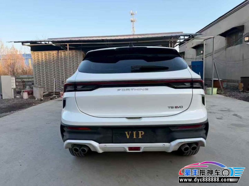 24年东风风行T5轿车抵押车出售