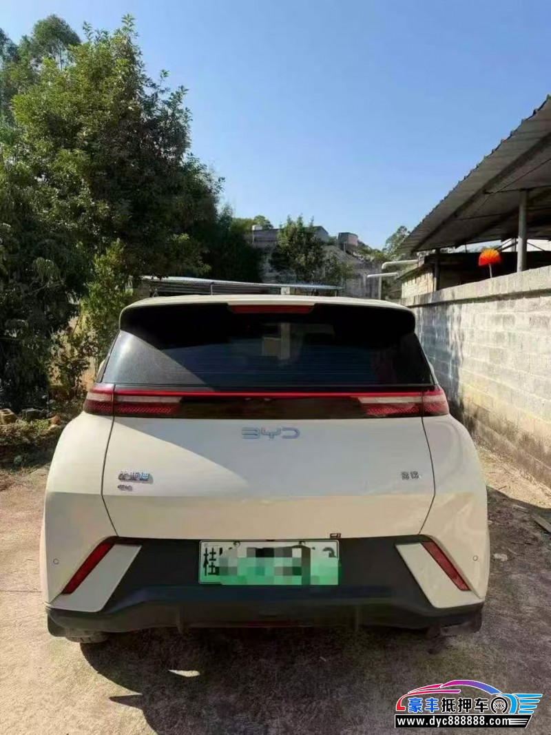 24年比亚迪海鸥轿车抵押车出售