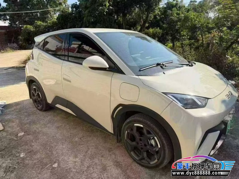 24年比亚迪海鸥轿车抵押车出售