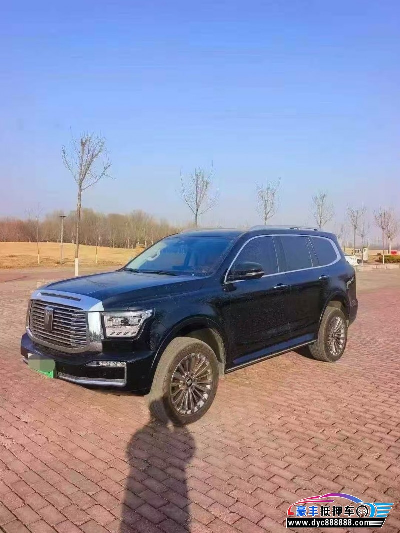 23年WEY坦克500轿车抵押车出售