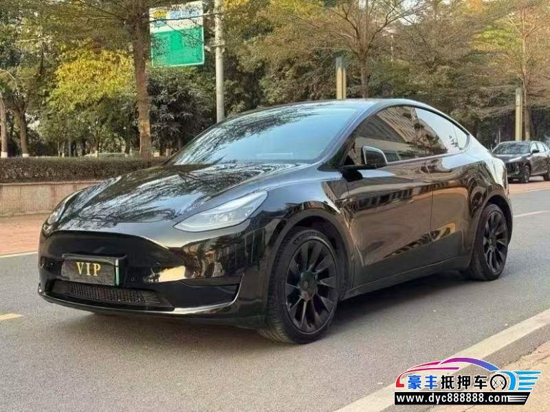 22年特斯拉Model Y轿车抵押车出售