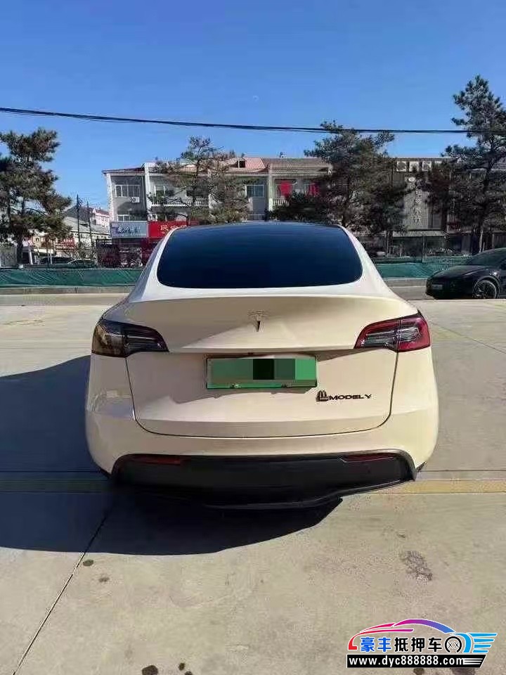 21年特斯拉Model Y轿车抵押车出售