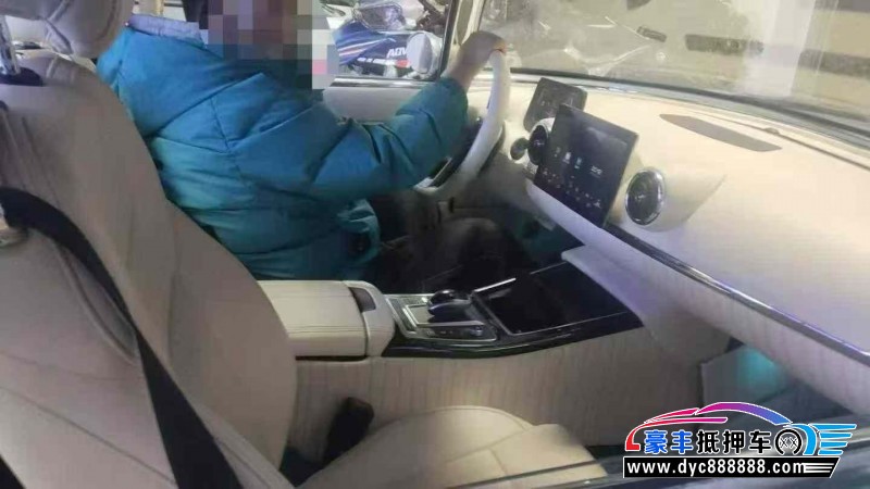 23年比亚迪海豚轿车抵押车出售