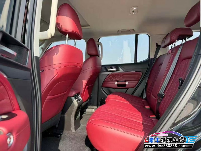 24年WEY坦克300轿车抵押车出售