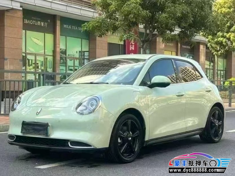 24年欧拉好猫轿车抵押车出售