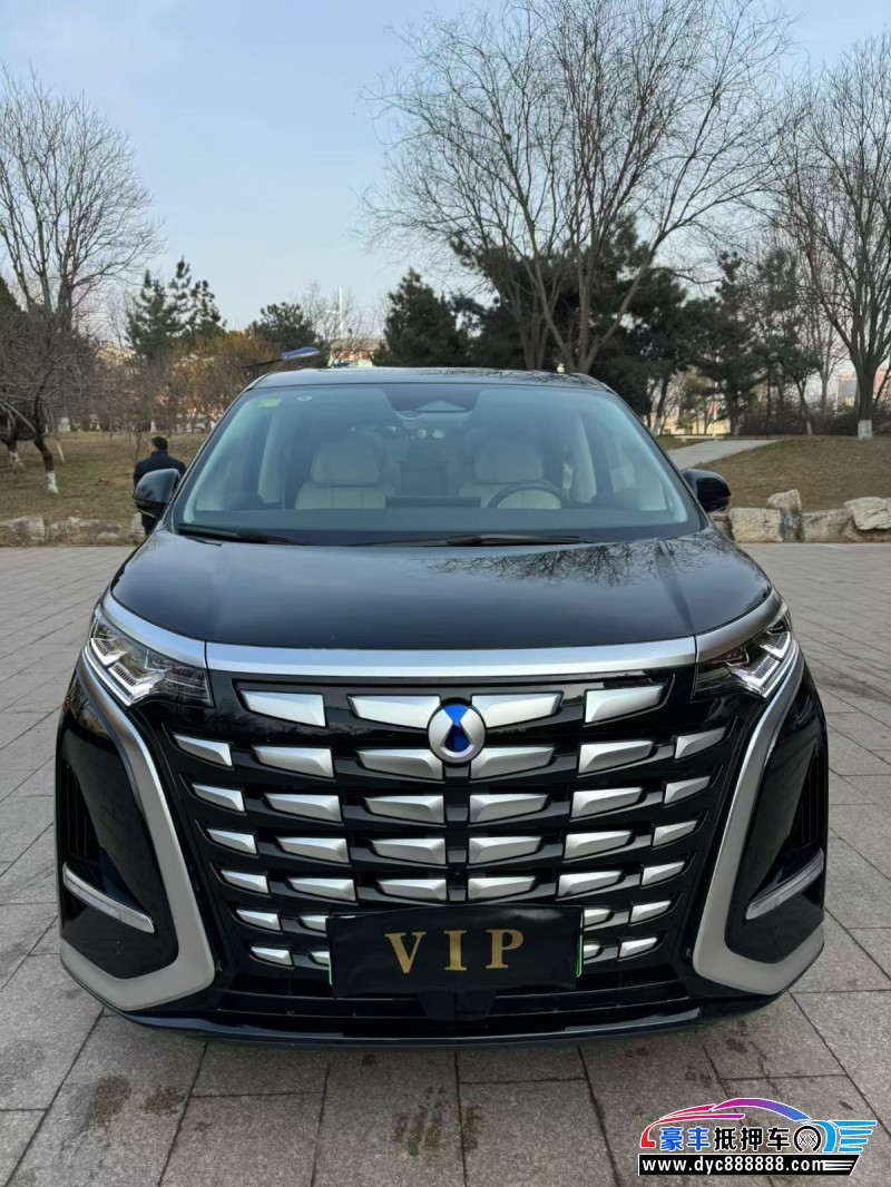 25年腾势D9轿车抵押车出售