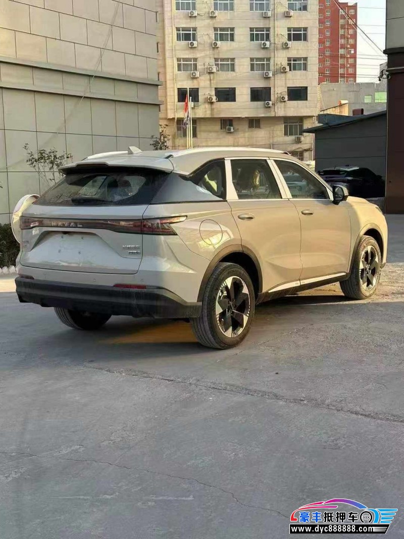 26年长城哈佛枭龙轿车抵押车出售