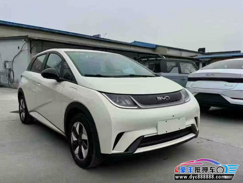 26年比亚迪海豚轿车抵押车出售