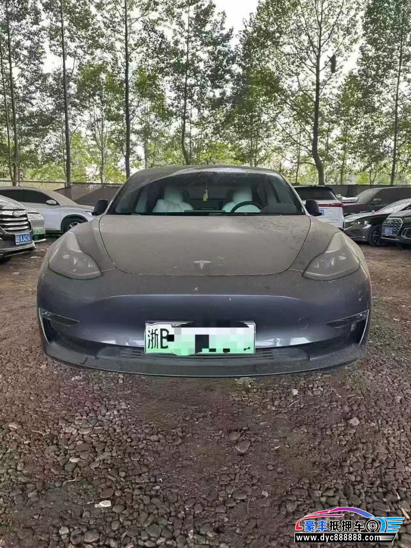 21年特斯拉MODEL 3轿车抵押车出售