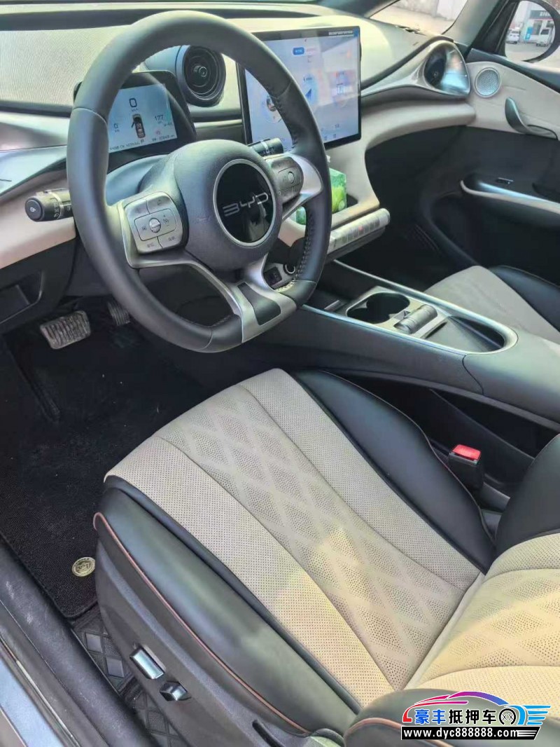 24年比亚迪海豚轿车抵押车出售