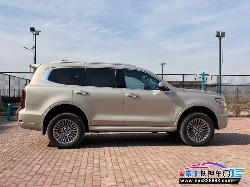 24年WEY坦克500轿车抵押车出售