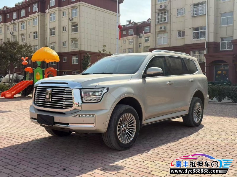 24年WEY坦克500轿车抵押车出售