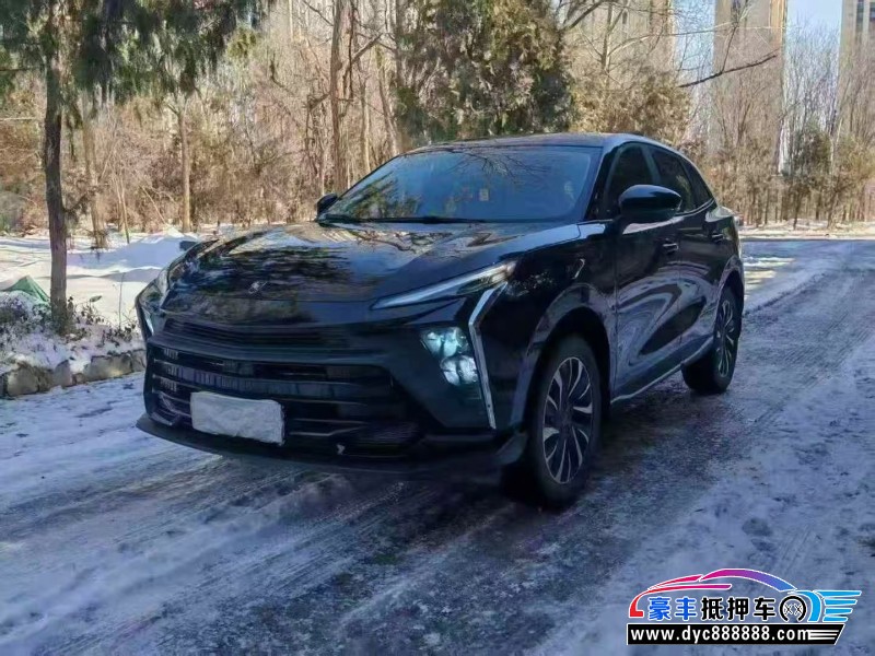 24年东风风行T5轿车抵押车出售