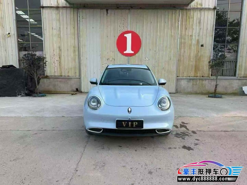 抵押车出售24年欧拉好猫轿车
