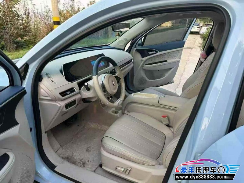 24年欧拉好猫轿车抵押车出售