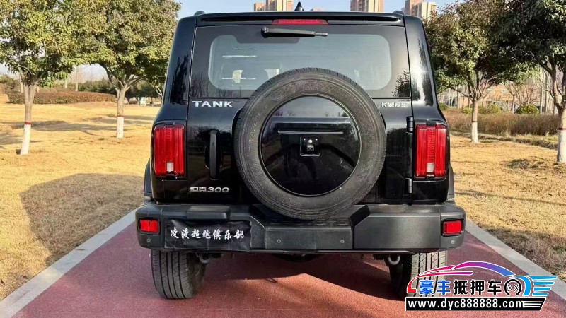 24年WEY坦克300轿车抵押车出售