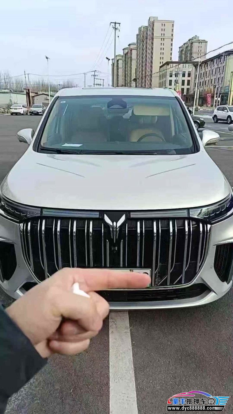 25年岚图梦想家轿车抵押车出售