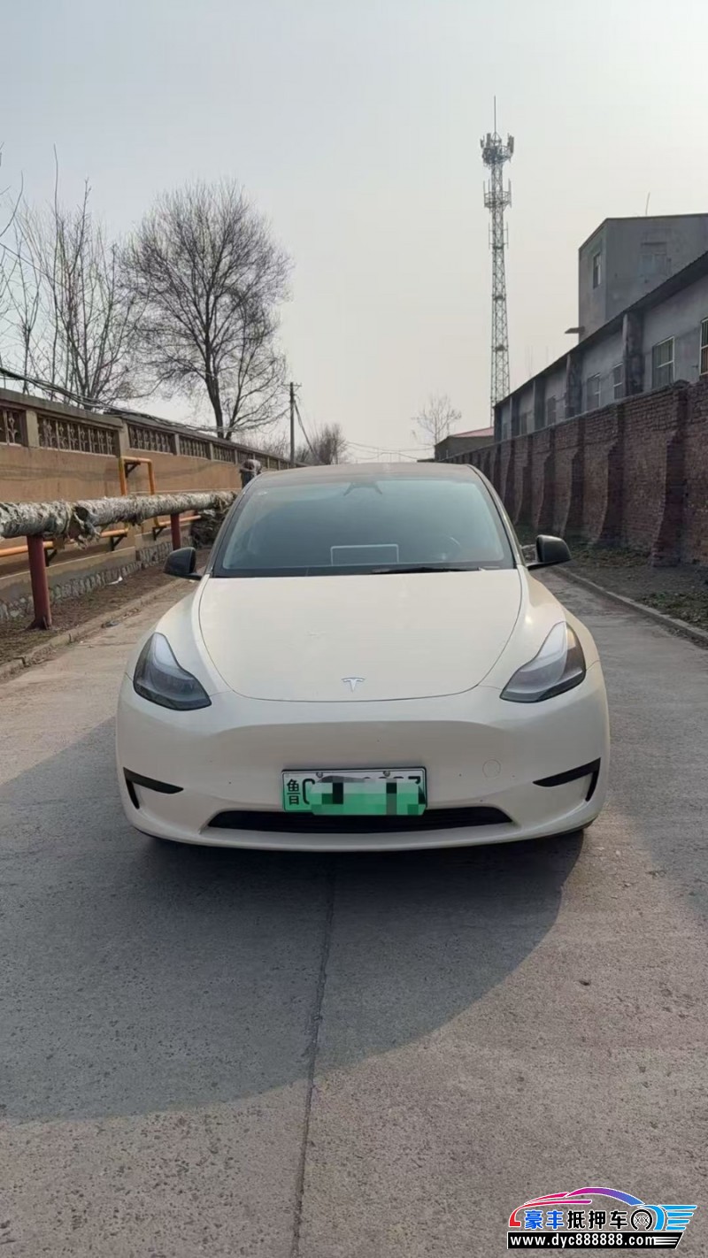 24年特斯拉Model Y轿车抵押车出售
