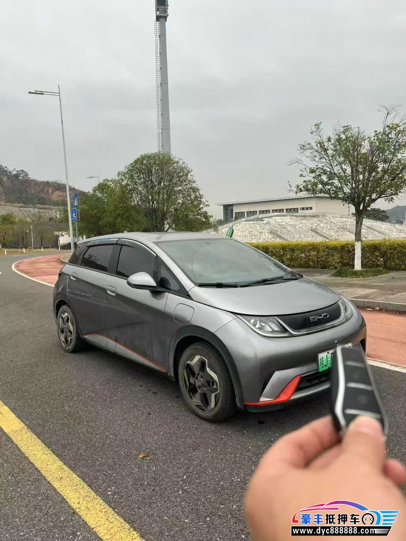 22年比亚迪海豚轿车抵押车出售