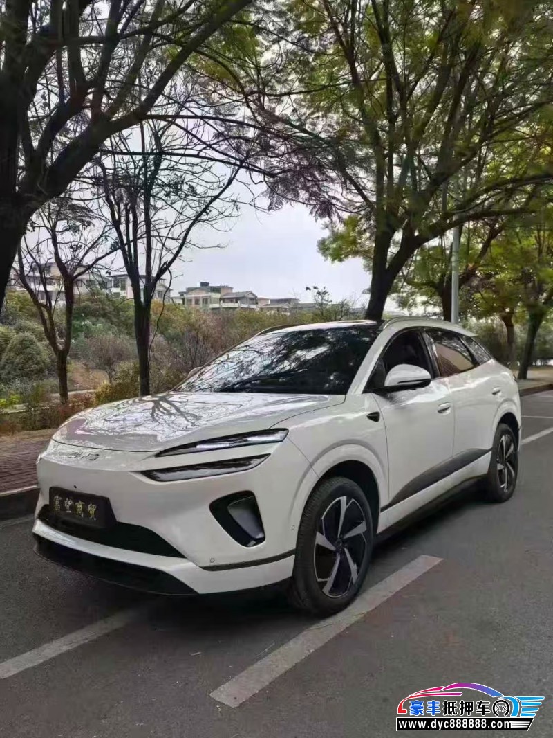 25年比亚迪海狮轿车抵押车出售