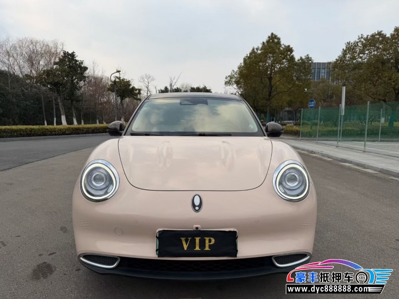 21年欧拉好猫轿车抵押车出售