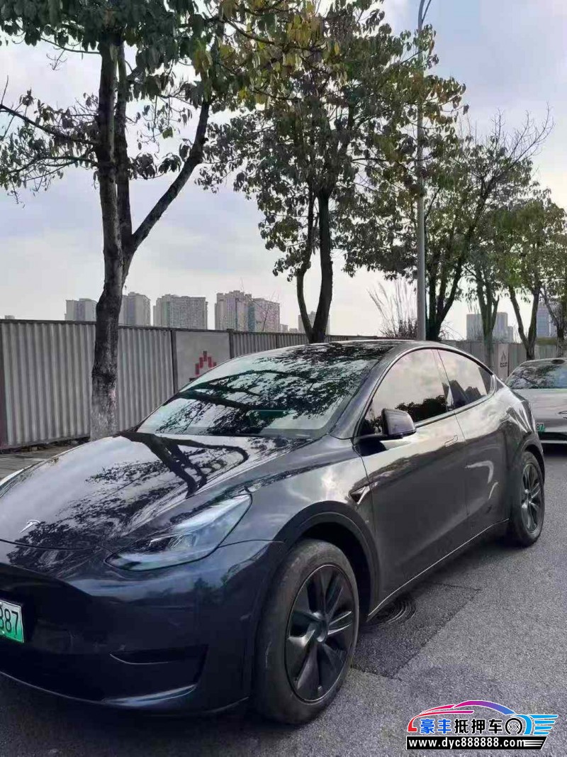 24年特斯拉MODEL 3轿车抵押车出售